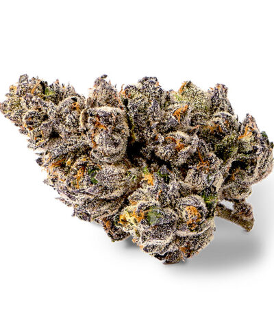 Thumbnail for Jokerz 88 89 90 5 seeds - Gelato Seeds