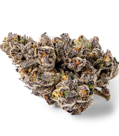 Jokerz cannabis seeds