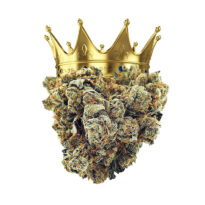 King Louis XIII OG seeds strain