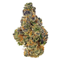 LA Confidential Autoflower