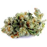 Thumbnail for Larry OG Kush 88 89 90 5 seeds - Gelato Seeds