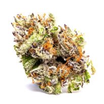 Lava Cake feminized cannabis seeds