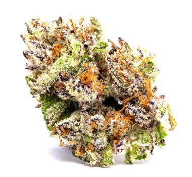 Lava Cake feminized cannabis seeds