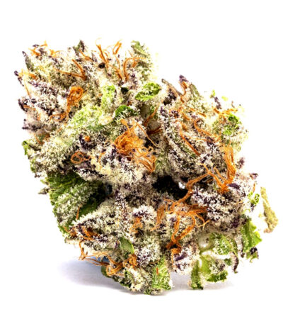 Lava Cake feminized cannabis seeds