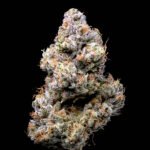 Limousine seeds for sale: Limousine strain from Cookies Seed Bank