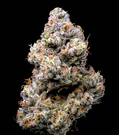 Limousine seeds for sale: Limousine strain from Cookies Seed Bank