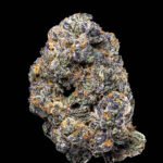 Lingerie strain feminized Lingerie seeds for sale by Cookies Seed Bank