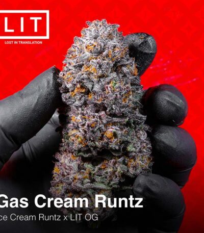 Thumbnail for Gas Cream Runtz-LIT Farms 95 6 seeds - Gelato Seeds