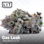 Gas Leak seeds strain by LIT Farms