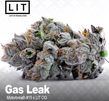 Gas Leak seeds strain by LIT Farms