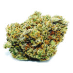 Buy our Motorbreath / Motor Breath seeds strain