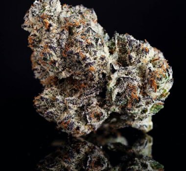 Oreoz cannabis seeds for sale. Oreoz strain.