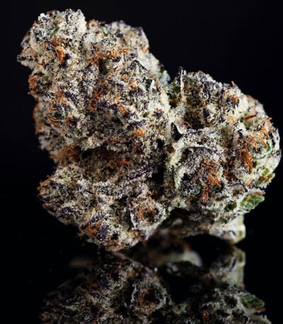 Oreoz cannabis seeds for sale. Oreoz strain.