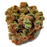 Panana Red seeds