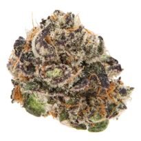 Peanut Butter Breath feminized cannabis seeds