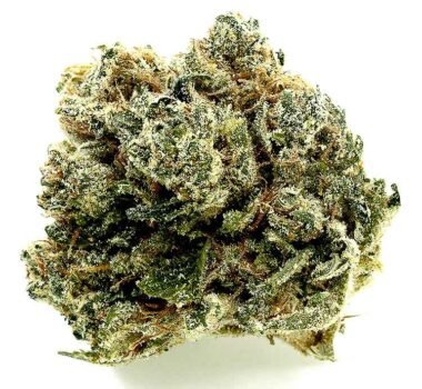 Presidential OG feminized cannabis seeds for sale