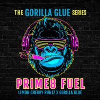 Prime8 Fuel strain * Prime8 Fuel marijuana seeds | Elev8 Seeds