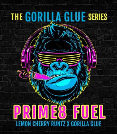 Prime8 Fuel strain * Prime8 Fuel marijuana seeds | Elev8 Seeds