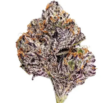 Purple Runtz cannabis seeds for sale