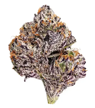 Purple Runtz cannabis seeds for sale