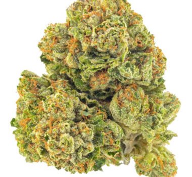 Skywalker OG Kush feminized cannabis seeds for sale