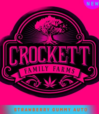 Strawberry Autoflower seeds from Crockett Family Farms