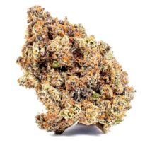 Sundae Driver cannabis seeds for sale