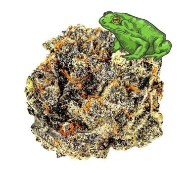 The Toad - Mike Tyson strain - Tyson Farms - Tyson 2.0