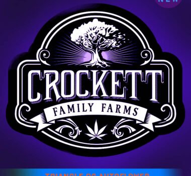 Triangle OG Autoflower seeds. Crockett Family Farms white label.