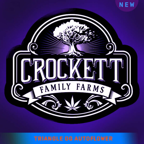 Triangle OG Autoflower seeds. Crockett Family Farms white label.
