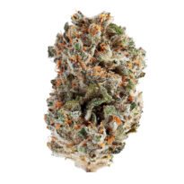 Watermelon Zkittlez seeds for sale
