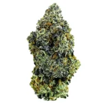 Wedding Crasher seeds for sale