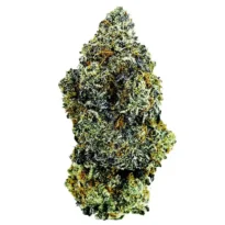 Wedding Crasher seeds for sale