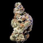 White Coconut Pie strain by Lemonnade and Cookies Seed Bank