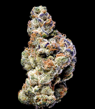 White Coconut Pie strain by Lemonnade and Cookies Seed Bank