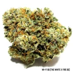 WiFi OG seeds, White Fire OG strain