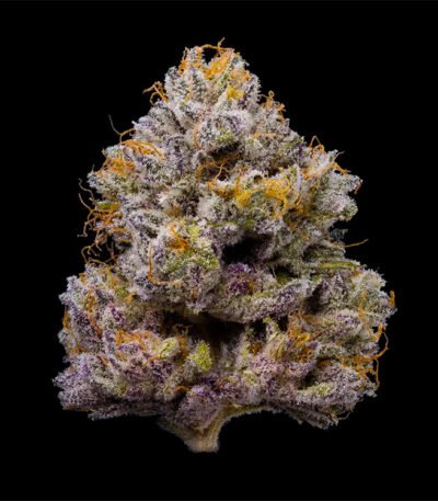 ZZ4 seeds for sale-ZZ4 strain