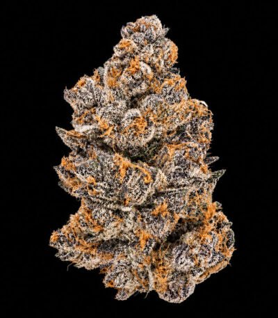 Image of Jealousy 89 90 88 5 seeds - Gelato Seeds