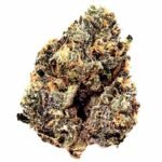 Thumbnail for Jealousy 88 89 90 5 seeds - Gelato Seeds