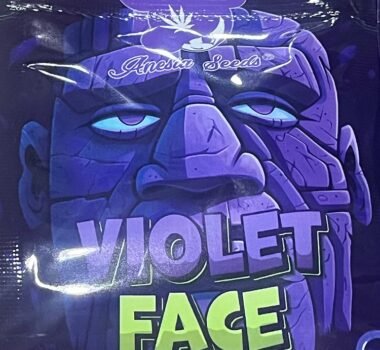 violet face strain by anesia seeds