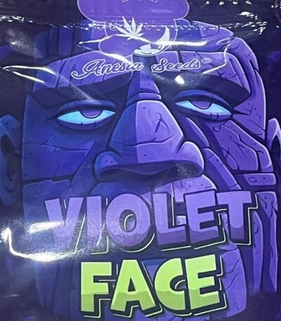 violet face strain by anesia seeds