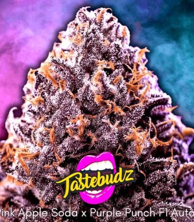 Apple and Blackberry strain