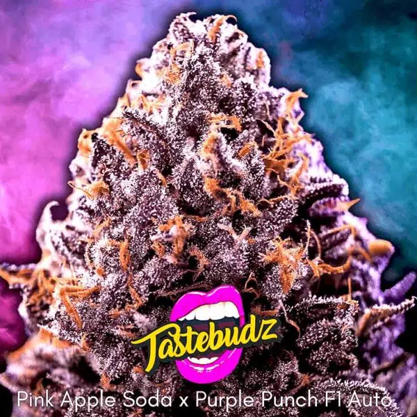 Apple and Blackberry strain