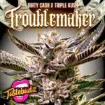 Troublemaker strain Tastebudz Genetics