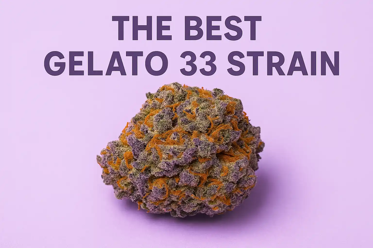 The Best Gelato 33 strain