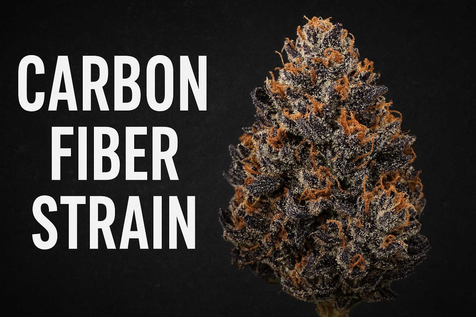 Carbon Fiber strain blog