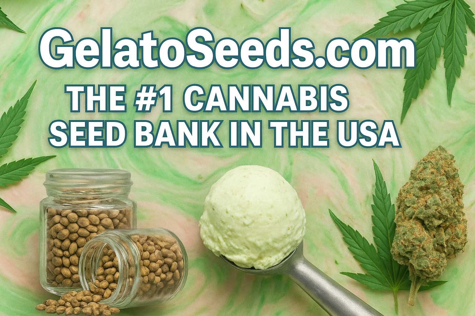 GelatoSeeds.com – Best Cannabis Seed Bank in the USA