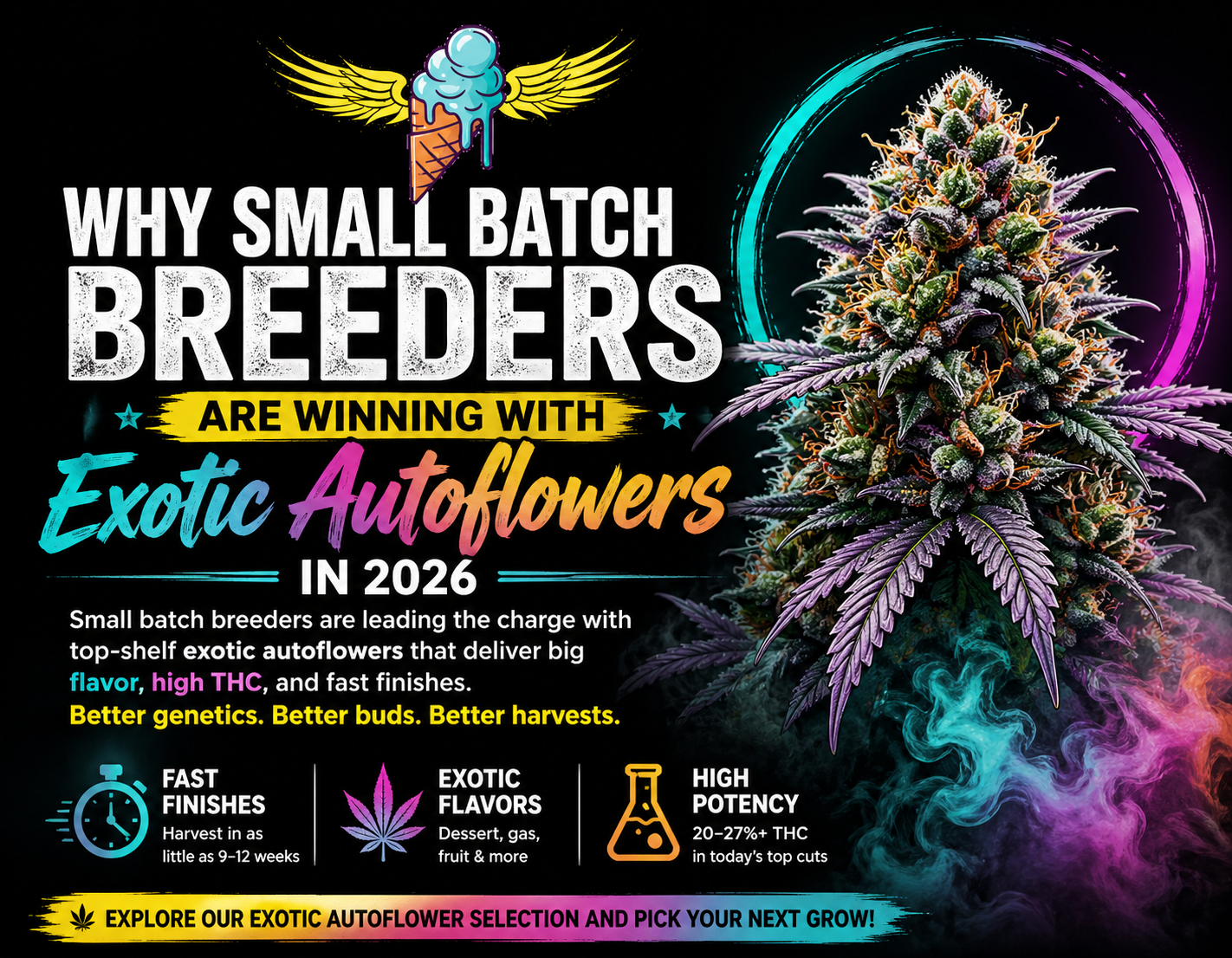 Exotic Autoflowers in 2026