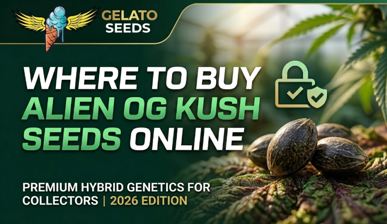 Hybrid Alien OG Kush Seeds