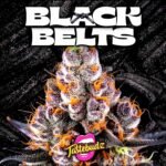 Image of Black Belts Auto 88 5 seeds - Gelato Seeds